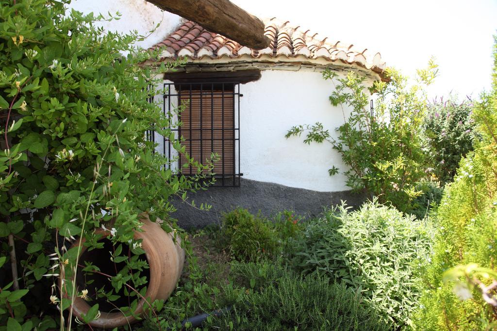 Apartament Cuevas Del Zenete Alcudia de Guadix Zewnętrze zdjęcie